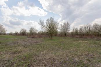 NA PREDAJ pozemok o výmere 400 m2 v Zohore - záhrada
