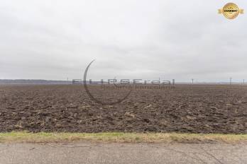 NA PREDAJ orná pôda pri ceste o výmere 48.424 m2 v obci Zohor