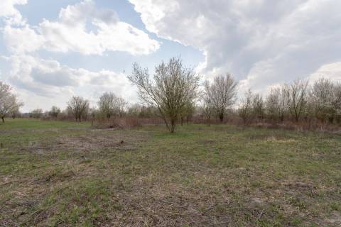  NA PREDAJ pozemok o výmere 400 m2 v Zohore - záhrada