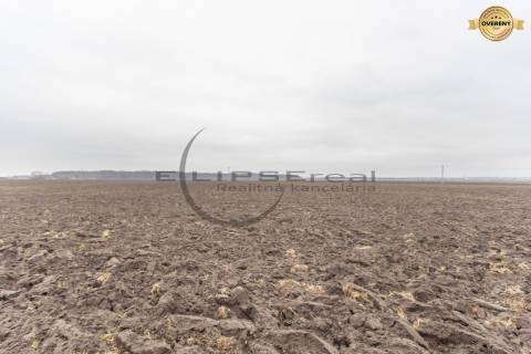  NA PREDAJ orná pôda pri ceste o výmere 11.772 m2 v obci Zohor